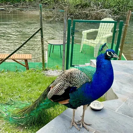 Chalet Chalet convivial avec vue sur la rivière - 62 m²