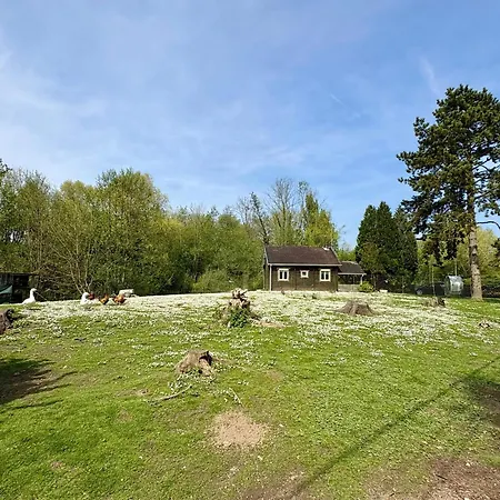 Chalet Convivial Avec Vue Sur La Riviere - 62 M² Authuille