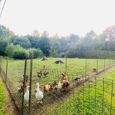 Chalet convivial avec vue sur la rivière - 62 m² Authuille