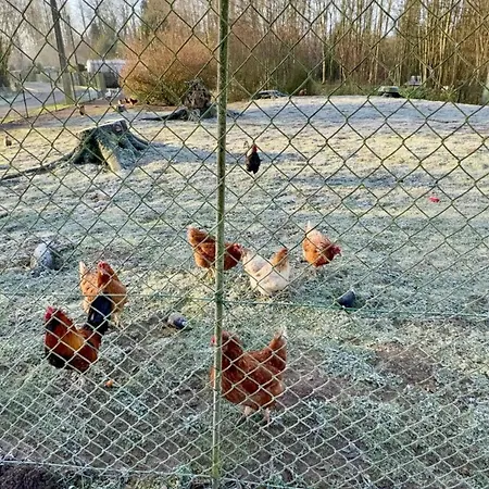 Chalet convivial avec vue sur la rivière - 62 m² * Authuille